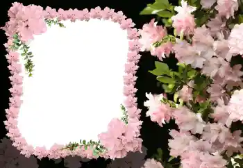 Effet photo de catégorie Cadres de photo pour femmes № 31824