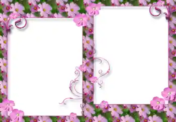 Effet photo de catégorie Cadres de photo pour femmes № 32791