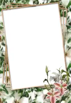 Effet photo de catégorie Cadres de photo pour femmes № 33703