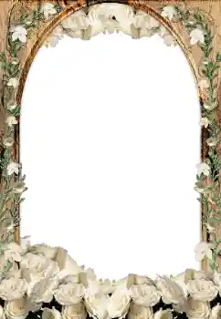 Effet photo de catégorie Cadres de photo pour femmes № 33873