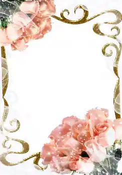 Effet photo de catégorie Cadres de photo pour femmes № 3492