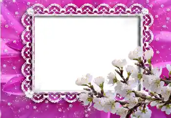 Effet photo de catégorie Cadres de photo pour femmes № 53333
