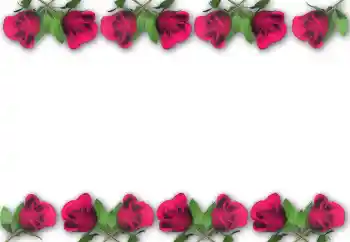 Effet photo de catégorie Cadres de photo pour femmes № 5472