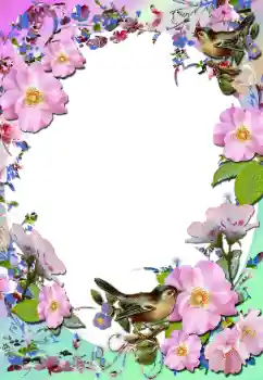 Effet photo de catégorie Cadres de photo pour femmes № 58779