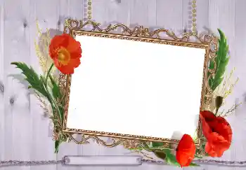 Effet photo de catégorie Cadres de photo pour femmes № 7499