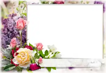 Effet photo de catégorie Cadres de photo pour femmes № 85266