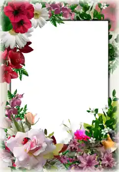 Effet photo de catégorie Cadres de photo pour femmes № 85267
