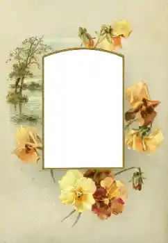 Effet photo de catégorie Cadres de photo pour femmes № 88073