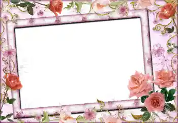 Effet photo de catégorie Cadres de photo pour femmes № 89339