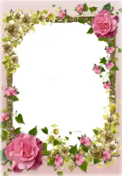 Effet photo de catégorie Cadres de photo pour femmes № 91833