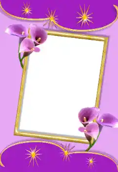 Effet photo de catégorie Cadres de photo pour femmes № 93254