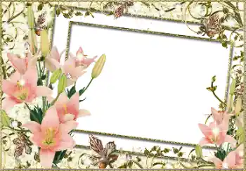 Effet photo de catégorie Cadres de photo pour femmes № 93279