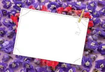Effet photo de catégorie Cadres de photo pour femmes № 9481