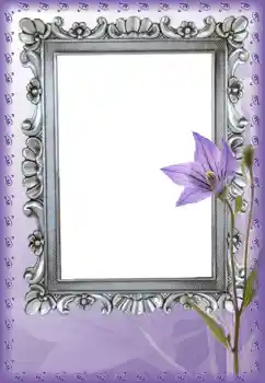 Effet photo de catégorie Cadres de photo pour femmes № 9787