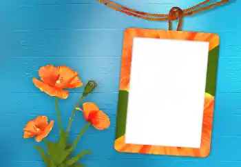 Effet photo de catégorie Cadres de photo pour femmes № 98705
