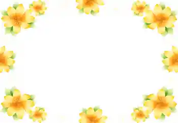 Effet photo de catégorie Cadres de photo pour femmes № 9892